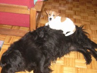 /album/foto/ady-jpg/