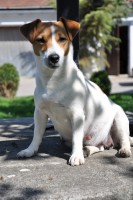 /album/foto/dsc-1515-jpg1/