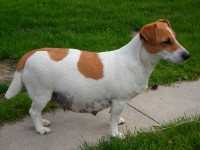 /album/foto/sam-3010-jpg/