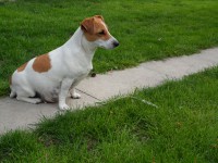 /album/foto/sam-3015-jpg/